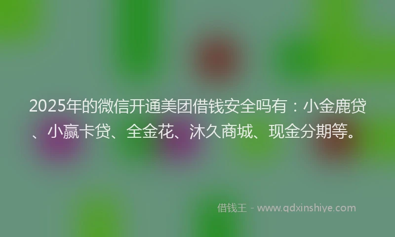 2025年的微信开通美团借钱安全吗有：小金鹿贷、小赢卡贷、全金花、沐久商城、现金分期等。