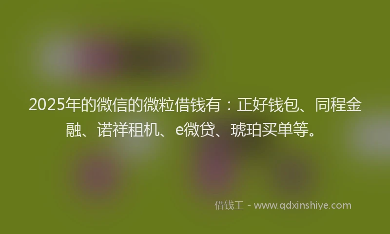 2025年的微信的微粒借钱有：正好钱包、同程金融、诺祥租机、e微贷、琥珀买单等。