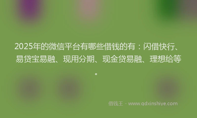 2025年的微信平台有哪些借钱的有：闪借快行、易贷宝易融、现用分期、现金贷易融、理想给等。