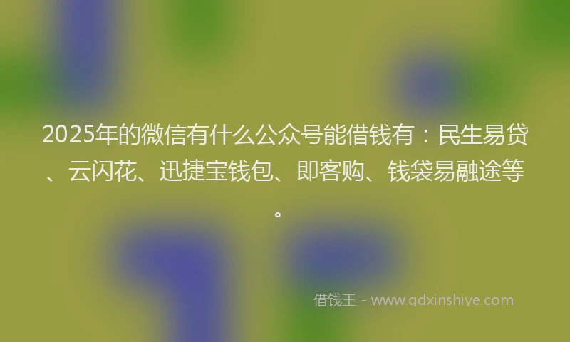 2025年的微信有什么公众号能借钱有：民生易贷、云闪花、迅捷宝钱包、即客购、钱袋易融途等。