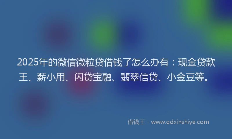 2025年的微信微粒贷借钱了怎么办有：现金贷款王、薪小用、闪贷宝融、翡翠信贷、小金豆等。