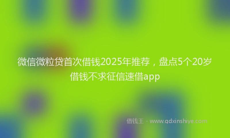 微信微粒贷首次借钱2025年推荐，盘点5个20岁借钱不求征信速借app
