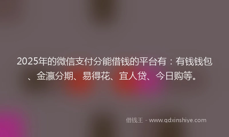 2025年的微信支付分能借钱的平台有：有钱钱包、金瀛分期、易得花、宜人贷、今日购等。