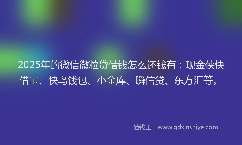2025年的微信微粒贷借钱怎么还钱有：现金侠快借宝、快鸟钱包、小金库、瞬信贷、东方汇等。