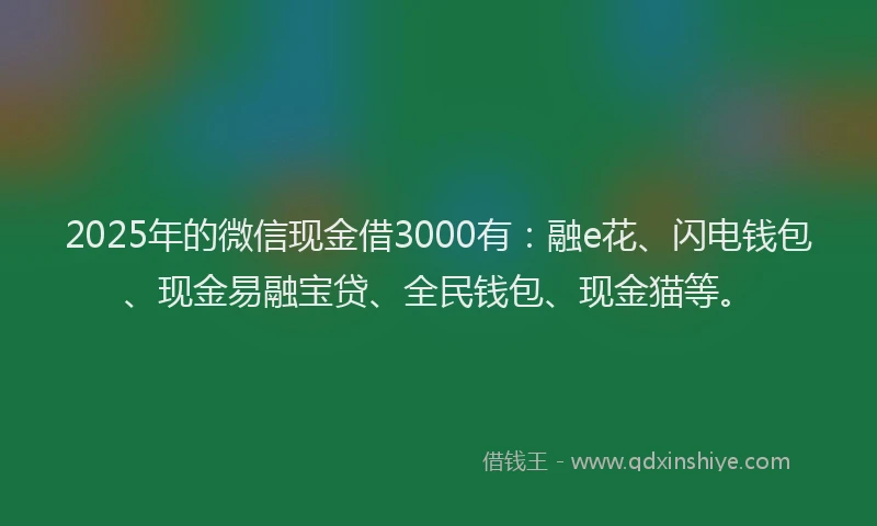 2025年的微信现金借3000有：融e花、闪电钱包、现金易融宝贷、全民钱包、现金猫等。