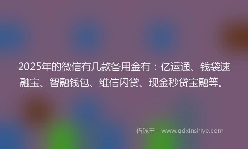 2025年的微信有几款备用金有：亿运通、钱袋速融宝、智融钱包、维信闪贷、现金秒贷宝融等。