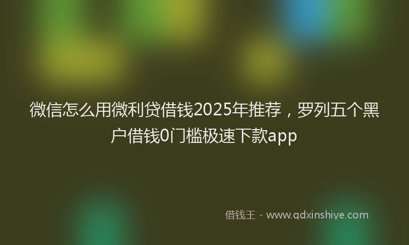 微信怎么用微利贷借钱2025年推荐，罗列五个黑户借钱0门槛极速下款app