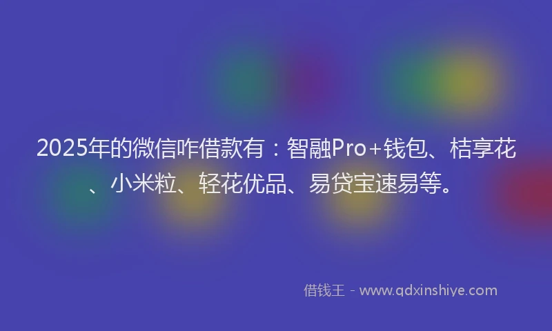 2025年的微信咋借款有：智融Pro+钱包、桔享花、小米粒、轻花优品、易贷宝速易等。