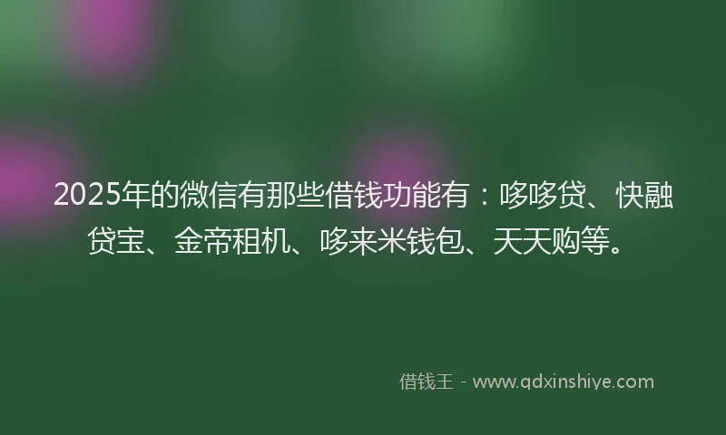 2025年的微信有那些借钱功能有：哆哆贷、快融贷宝、金帝租机、哆来米钱包、天天购等。