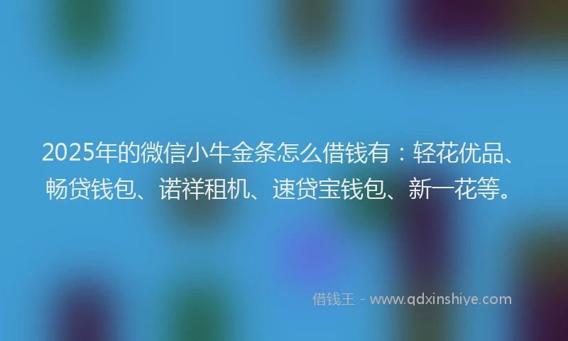 2025年的微信小牛金条怎么借钱有：轻花优品、畅贷钱包、诺祥租机、速贷宝钱包、新一花等。