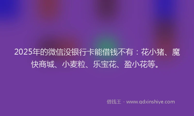 2025年的微信没银行卡能借钱不有：花小猪、魔快商城、小麦粒、乐宝花、盈小花等。