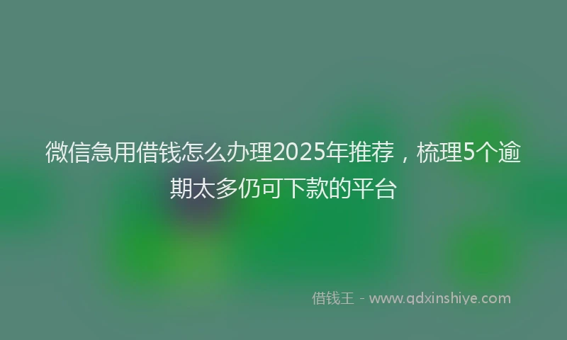 微信急用借钱怎么办理2025年推荐，梳理5个逾期太多仍可下款的平台