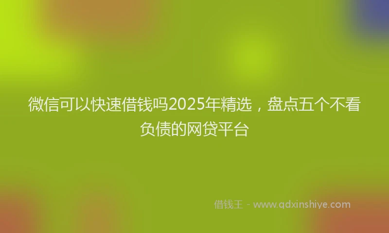 微信可以快速借钱吗2025年精选，盘点五个不看负债的网贷平台