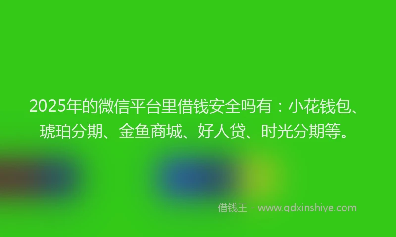 2025年的微信平台里借钱安全吗有：小花钱包、琥珀分期、金鱼商城、好人贷、时光分期等。