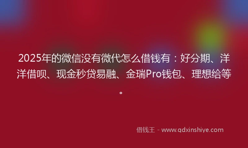 2025年的微信没有微代怎么借钱有：好分期、洋洋借呗、现金秒贷易融、金瑞Pro钱包、理想给等。