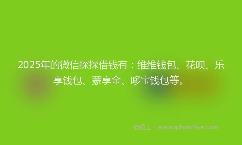 2025年的微信探探借钱有：维维钱包、花呗、乐享钱包、蒙享金、哆宝钱包等。