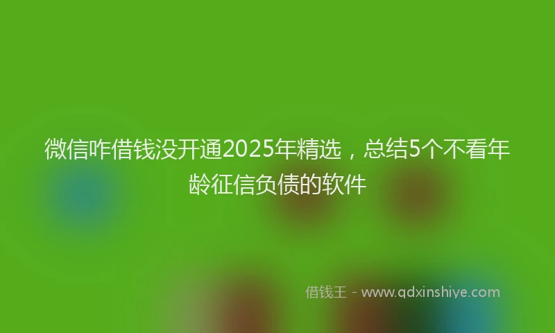 微信咋借钱没开通2025年精选，总结5个不看年龄征信负债的软件