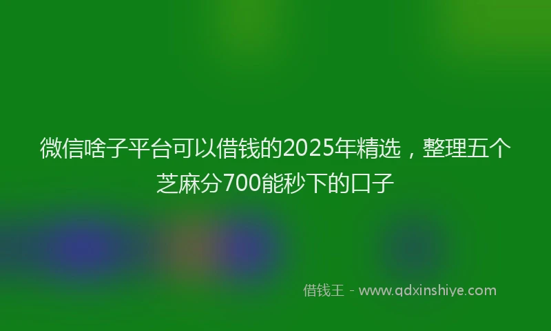 微信啥子平台可以借钱的2025年精选，整理五个芝麻分700能秒下的口子