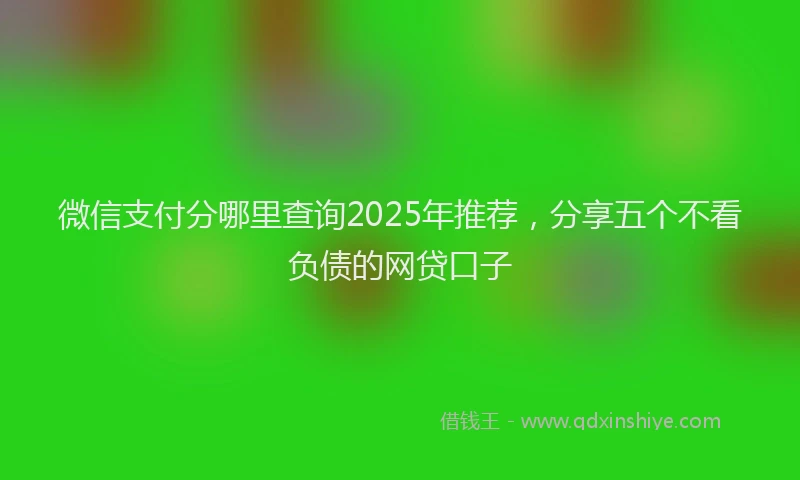 微信支付分哪里查询2025年推荐，分享五个不看负债的网贷口子