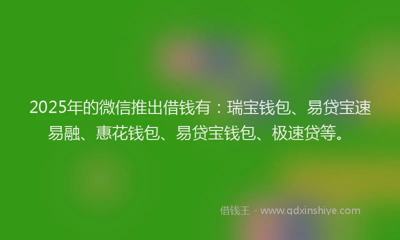 2025年的微信推出借钱有：瑞宝钱包、易贷宝速易融、惠花钱包、易贷宝钱包、极速贷等。