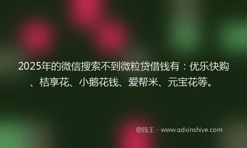2025年的微信搜索不到微粒贷借钱有：优乐快购、桔享花、小鹅花钱、爱帮米、元宝花等。