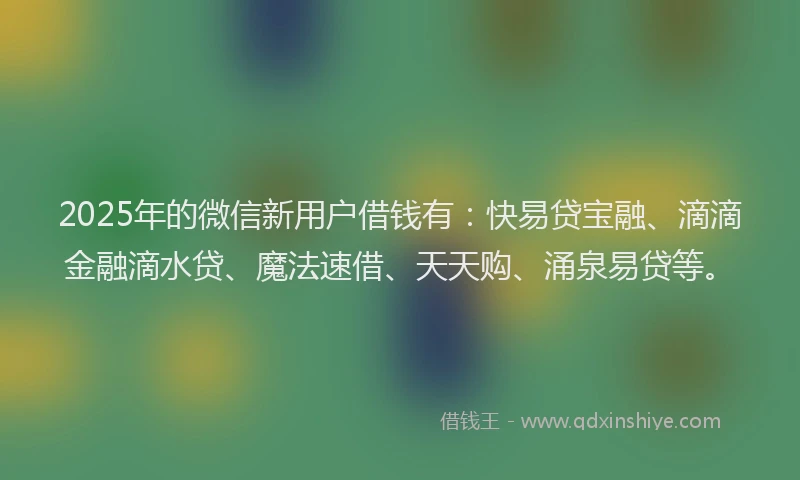 2025年的微信新用户借钱有：快易贷宝融、滴滴金融滴水贷、魔法速借、天天购、涌泉易贷等。