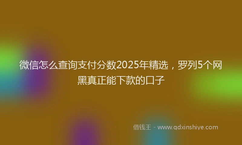 微信怎么查询支付分数2025年精选，罗列5个网黑真正能下款的口子