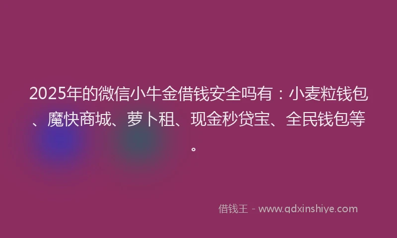 2025年的微信小牛金借钱安全吗有：小麦粒钱包、魔快商城、萝卜租、现金秒贷宝、全民钱包等。