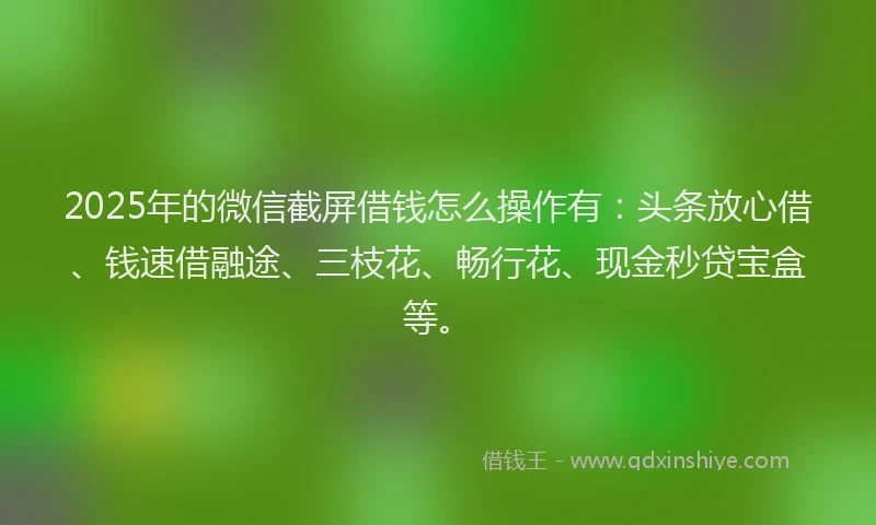 2025年的微信截屏借钱怎么操作有：头条放心借、钱速借融途、三枝花、畅行花、现金秒贷宝盒等。