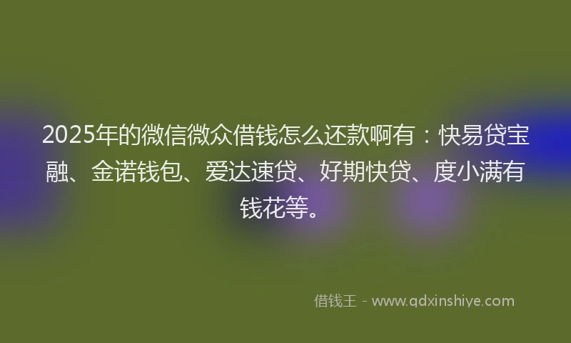 2025年的微信微众借钱怎么还款啊有：快易贷宝融、金诺钱包、爱达速贷、好期快贷、度小满有钱花等。