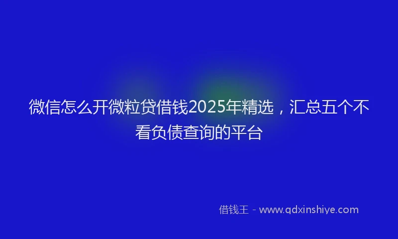 微信怎么开微粒贷借钱2025年精选，汇总五个不看负债查询的平台