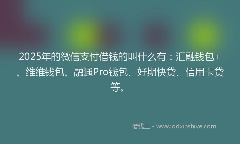 2025年的微信支付借钱的叫什么有：汇融钱包+、维维钱包、融通Pro钱包、好期快贷、信用卡贷等。