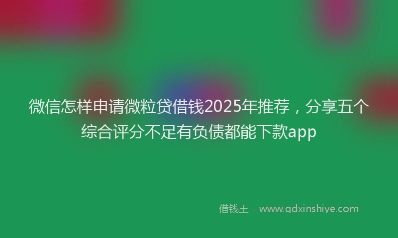 微信怎样申请微粒贷借钱2025年推荐，分享五个综合评分不足有负债都能下款app