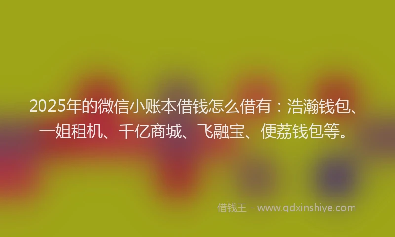 2025年的微信小账本借钱怎么借有：浩瀚钱包、一姐租机、千亿商城、飞融宝、便荔钱包等。