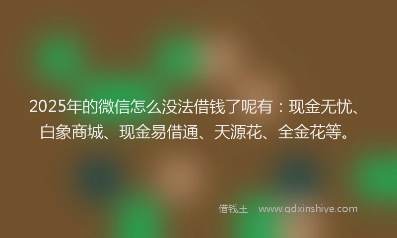 2025年的微信怎么没法借钱了呢有：现金无忧、白象商城、现金易借通、天源花、全金花等。