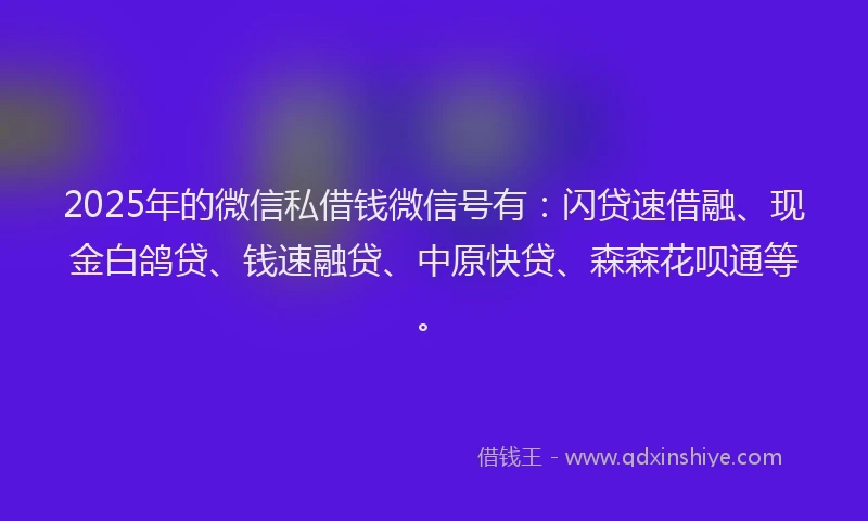 2025年的微信私借钱微信号有：闪贷速借融、现金白鸽贷、钱速融贷、中原快贷、森森花呗通等。