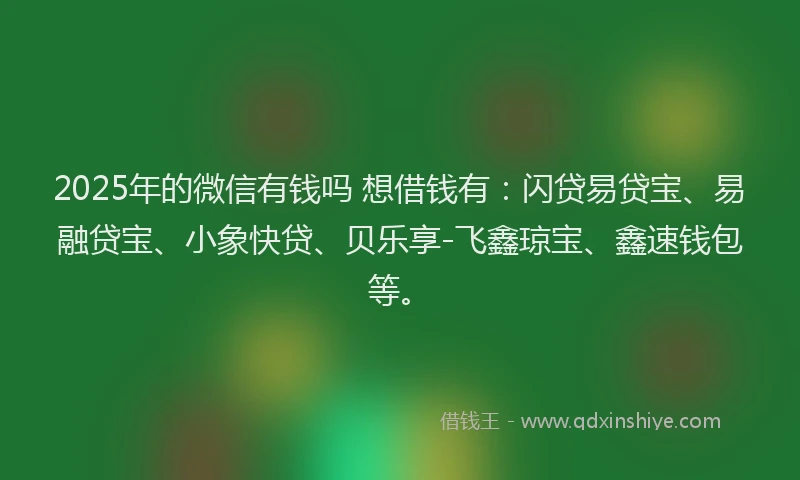 2025年的微信有钱吗 想借钱有：闪贷易贷宝、易融贷宝、小象快贷、贝乐享-飞鑫琼宝、鑫速钱包等。