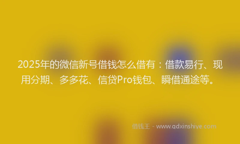 2025年的微信新号借钱怎么借有：借款易行、现用分期、多多花、信贷Pro钱包、瞬借通途等。