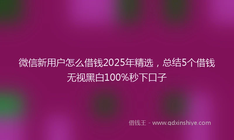 微信新用户怎么借钱2025年精选，总结5个借钱无视黑白100%秒下口子