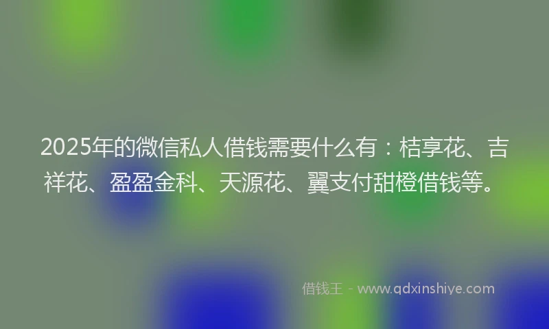 2025年的微信私人借钱需要什么有：桔享花、吉祥花、盈盈金科、天源花、翼支付甜橙借钱等。
