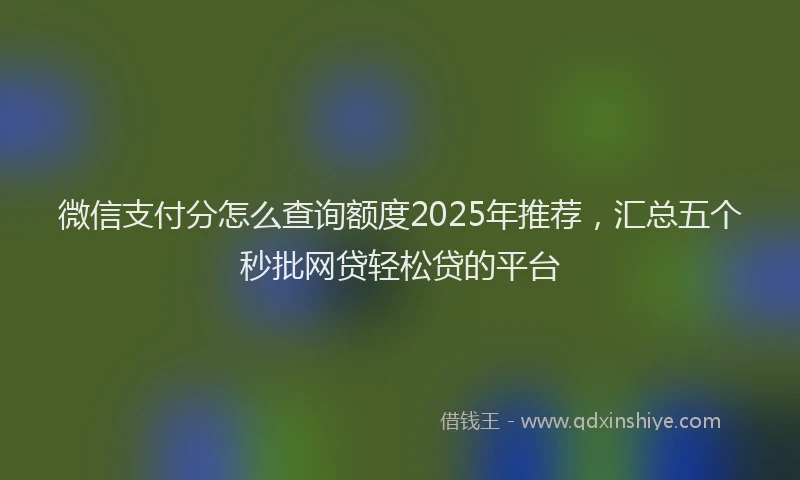 微信支付分怎么查询额度2025年推荐，汇总五个秒批网贷轻松贷的平台