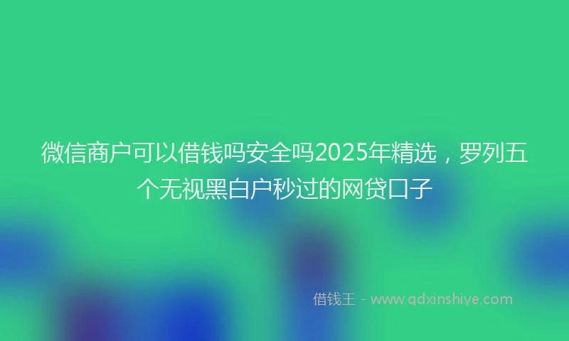 微信商户可以借钱吗安全吗2025年精选，罗列五个无视黑白户秒过的网贷口子