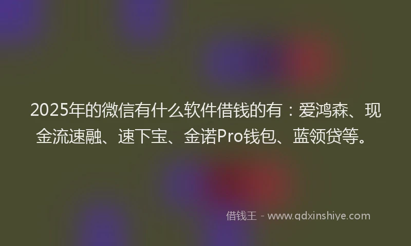 2025年的微信有什么软件借钱的有：爱鸿森、现金流速融、速下宝、金诺Pro钱包、蓝领贷等。