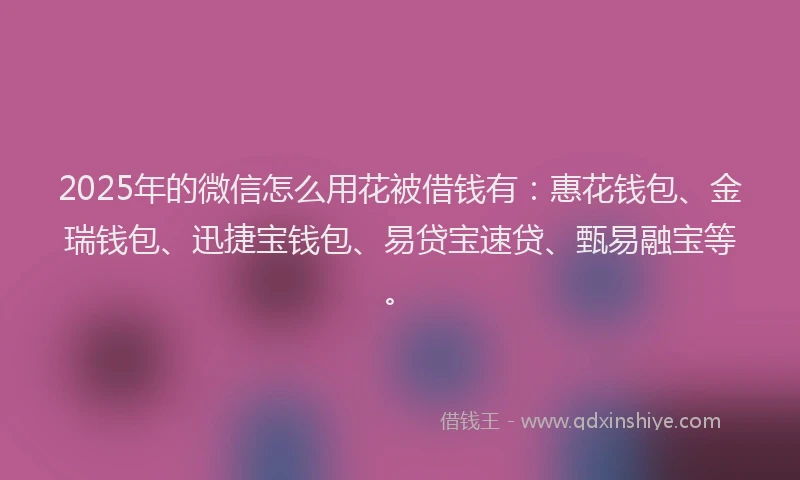 2025年的微信怎么用花被借钱有：惠花钱包、金瑞钱包、迅捷宝钱包、易贷宝速贷、甄易融宝等。