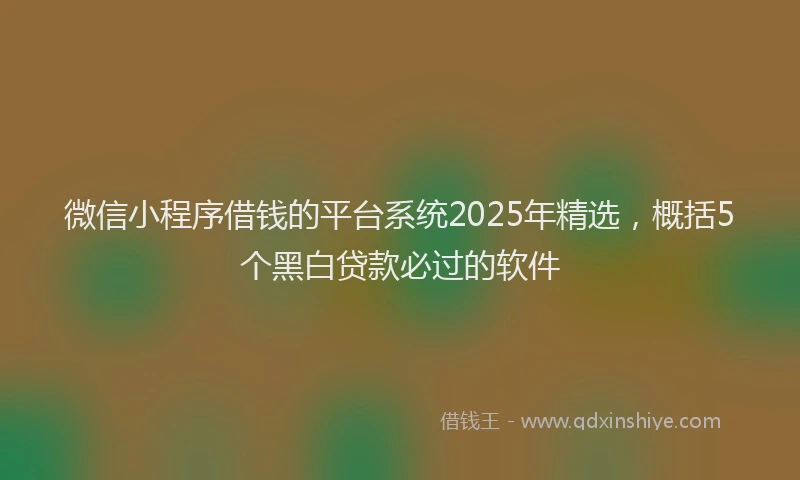 微信小程序借钱的平台系统2025年精选，概括5个黑白贷款必过的软件