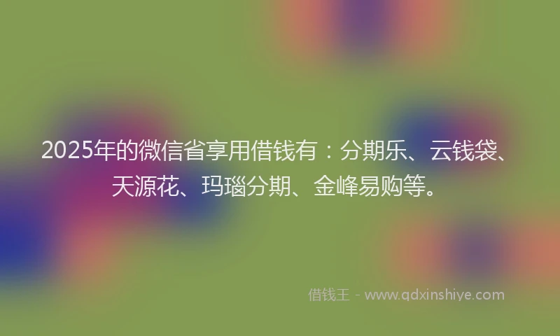 2025年的微信省享用借钱有：分期乐、云钱袋、天源花、玛瑙分期、金峰易购等。