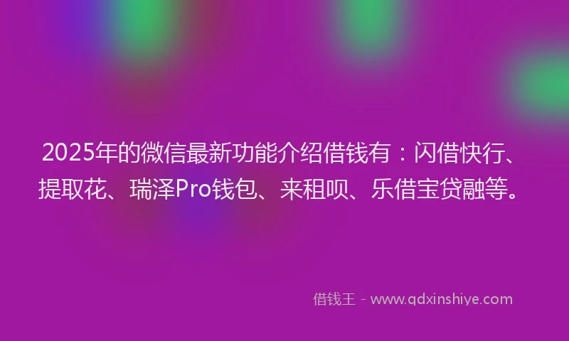 2025年的微信最新功能介绍借钱有：闪借快行、提取花、瑞泽Pro钱包、来租呗、乐借宝贷融等。