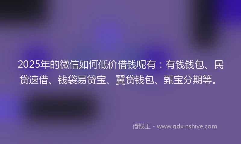 2025年的微信如何低价借钱呢有：有钱钱包、民贷速借、钱袋易贷宝、翼贷钱包、甄宝分期等。