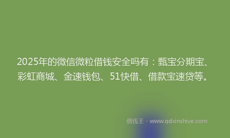 2025年的微信微粒借钱安全吗有：甄宝分期宝、彩虹商城、金速钱包、51快借、借款宝速贷等。