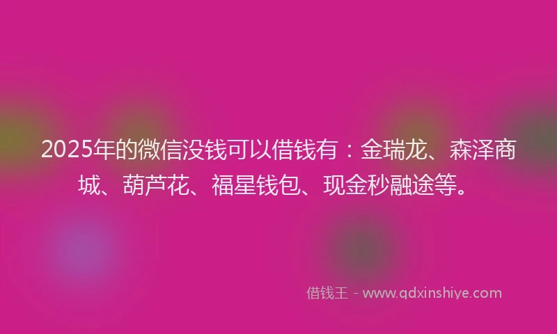 2025年的微信没钱可以借钱有：金瑞龙、森泽商城、葫芦花、福星钱包、现金秒融途等。